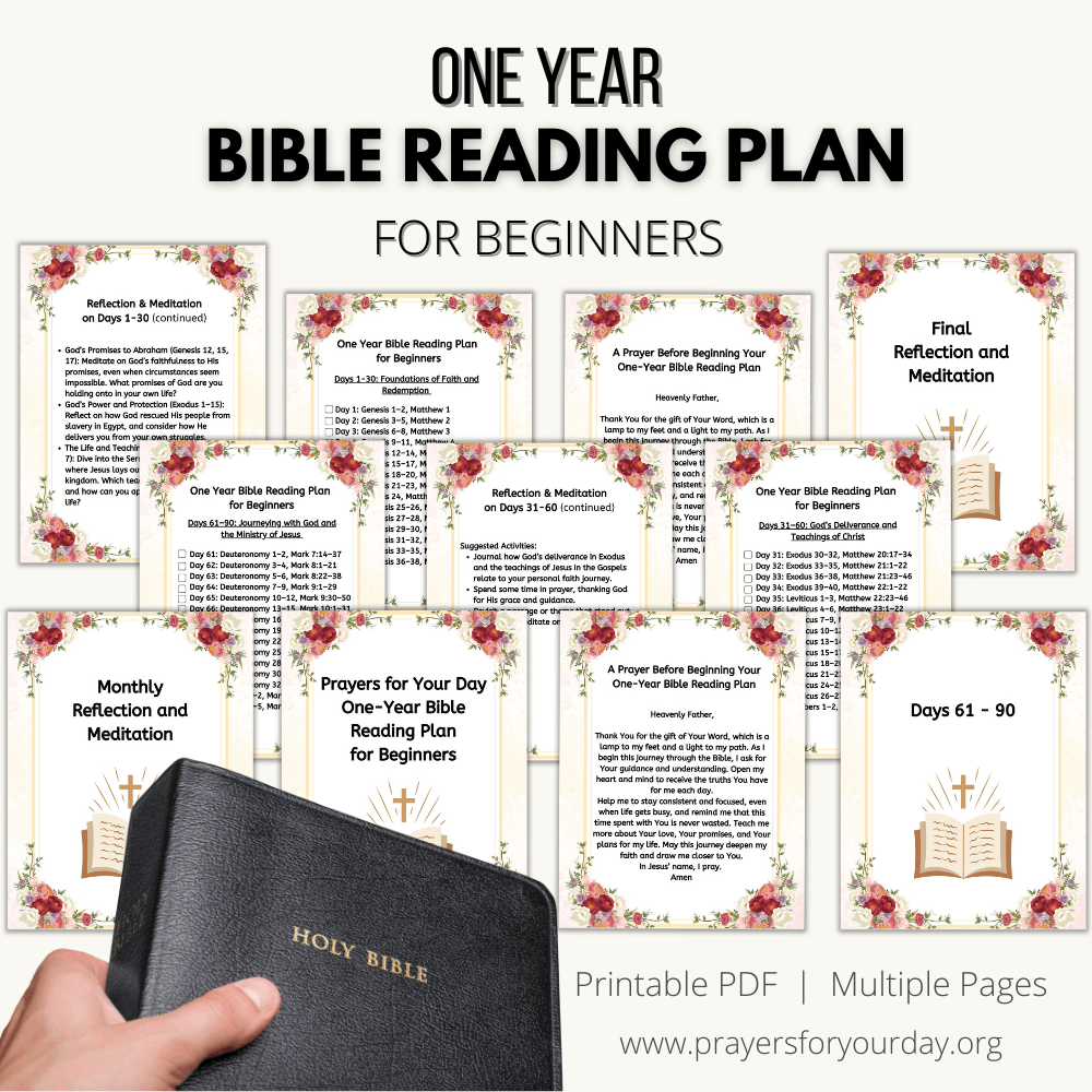 Promotional image for a 'One Year Bible Reading Plan for Beginners' featuring multiple printable pages with floral borders and text outlining daily reading plans, prayers, and reflections. A hand holds a black Holy Bible in the foreground, emphasizing the Bible-focused content. The text at the bottom mentions 'Printable PDF | Multiple Pages' and the website 'www.prayersforyourday.org'.